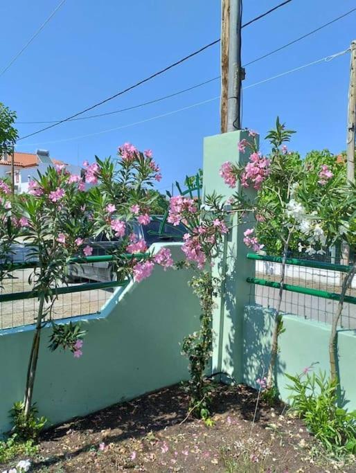 Apartment Lovely On The Agia Anna (Evia)